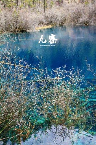 培育外贸新动能 建设一流营商环境