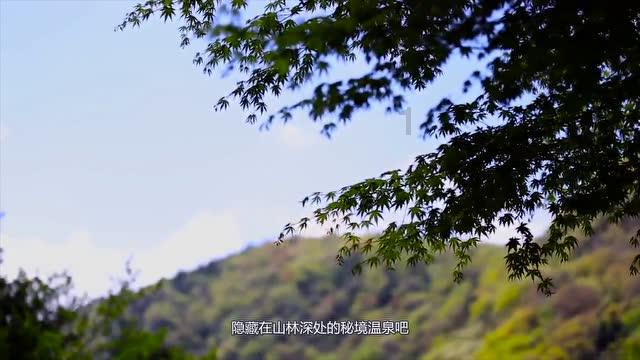 爱丽化妆教程
