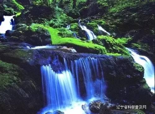 芭比娃娃的服装