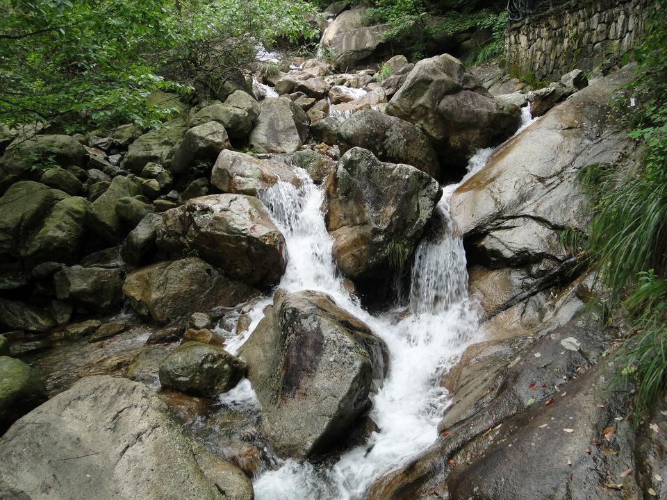 除鬼师